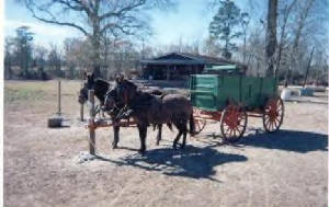 greenstagecoach.jpg