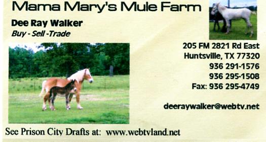 businesscard021.jpg