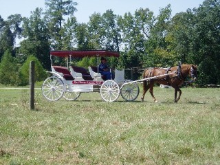 carriage.jpg
