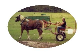 draybuggie.jpg