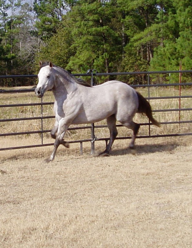 pc210115.jpg